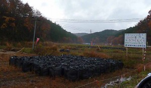 Die kontaminierte Erde steht in Säcken in der Landschaft. Eine Entsorgung gibt es nicht.