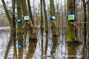 Aktion des Freundeskreises Hoeschpark wegen der Überschwemmung in Brügmanns Hölzchen. Fotos: Simon Bierwald