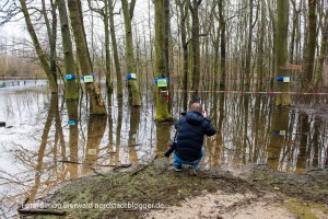 Aktion des Freundeskreises Hoeschpark wegen der Überschwemmung in Brügmanns Hölzchen. Fotos: Simon Bierwald