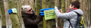 Aktion des Freundeskreises Hoeschpark wegen der Überschwemmung in Brügmanns Hölzchen. Fotos: Simon Bierwald