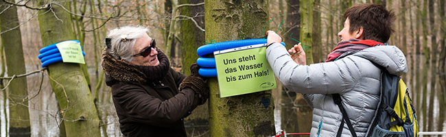 Aktion des Freundeskreises Hoeschpark wegen der Überschwemmung in Brügmanns Hölzchen. Fotos: Simon Bierwald