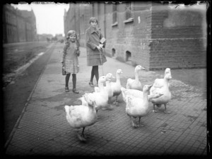 Gänsehüten in der Siedlung Kaiserstuhl, Dortmund, 1928 – 1933