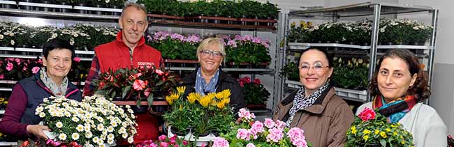 Die rund 400 DOGEWO21-Mieter im Bereich der Heiligegartenstraße konnten wieder kostenlos Blumen bekommen.