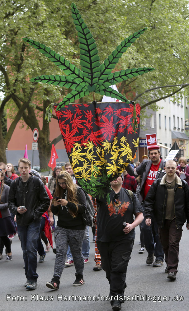 Global Marihuana March 2016