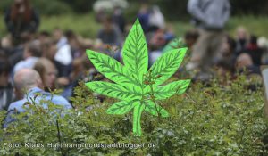 Global Marihuana March 2016