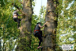 Von April bis Oktober können Immer freitags die Kletterbäume und sonntags der Hochseilgarten im Big Tipi erobert werden. Archivfoto: Alex Völkel. 