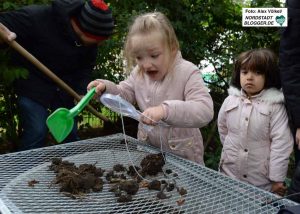 Mit Lupen und Lupengläsern untersuchen die Kinder die Insekten.