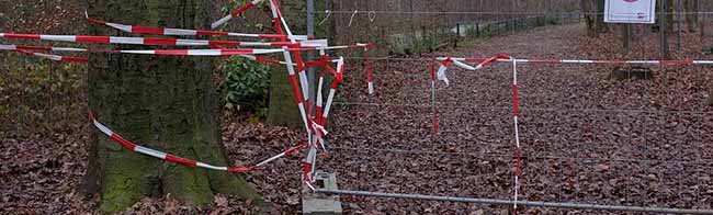 Jetzt sind alle wackeligen Bäume abgesägt, aber der Wald ist immer noch gesperrt und immer noch nicht ist klar, wann die Aufforstung beginnt.