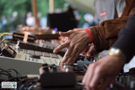 PollerWiesen Festival 2017 - Revierpark Wischlingen
