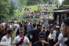 PollerWiesen Festival 2017 - Revierpark Wischlingen