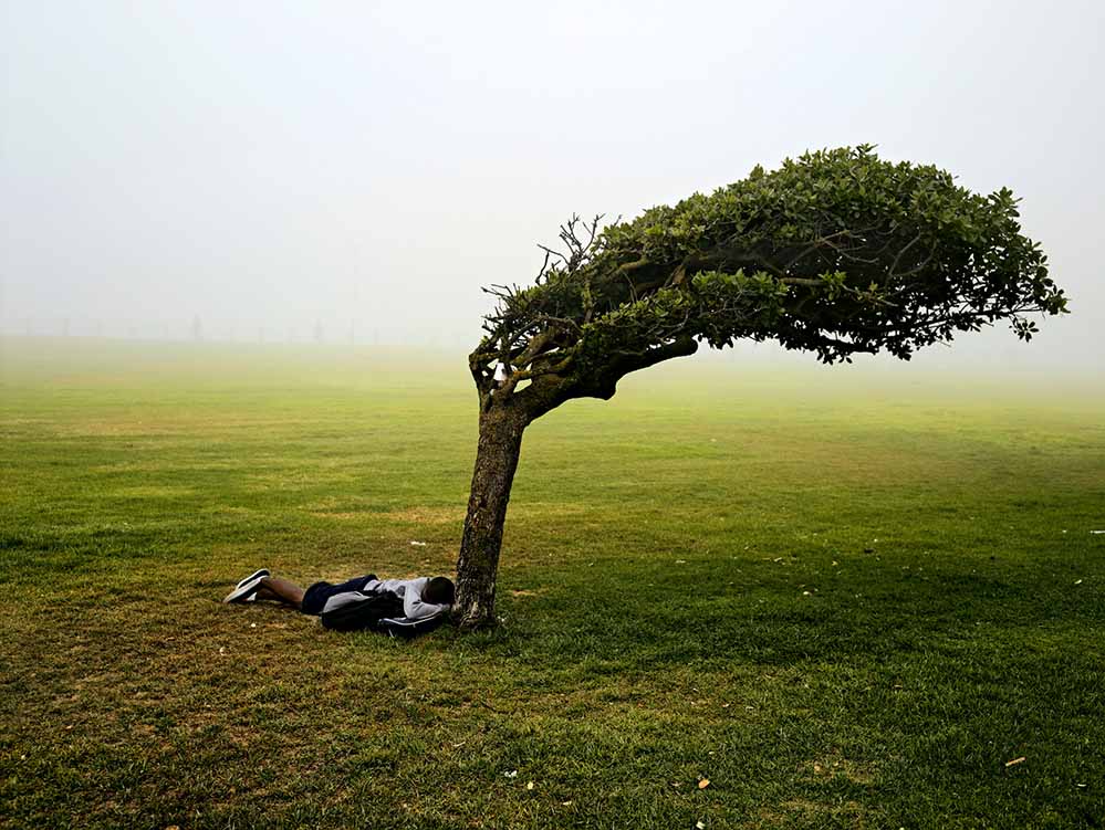 GREEN POINT COMMON, CAPE TOWN, AUS DER SERIE „KIN”, 2006-2013