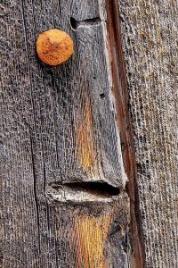 „Hombre serioso“, ernster Mann, nennt Machel dieses Detail einer von Wind und Wetter gezeichneten Tür eines mallorquinischen Hauses.