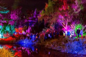 Beim Lichterfest 2017 werden zehntausende Lichter den Park zum Strahlen bringen. (Archivfotos)