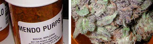 Medizinisches Cannabis aus den USA. Fotos: Wikipedia