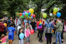 do-Demo CSD