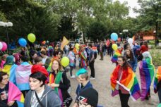 do-Demo CSD