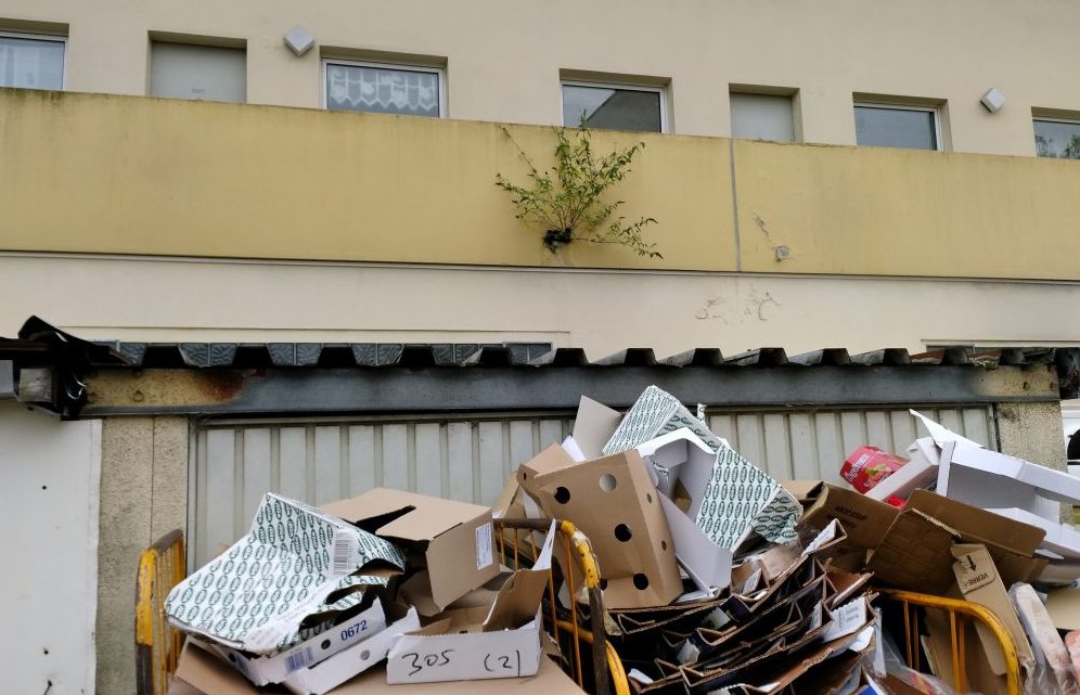 Massive Missstände gibt es bei der Immobilie in der Feldherrnstraße.