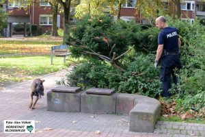 Diensthund „Basco“ avancierte im Laufe der Schwerpunktkontrollen zum größten Feind des Drogenhandels in der Nordstadt.