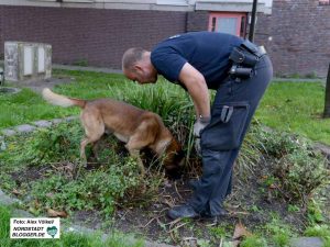 Diensthund „Basco“ avancierte im Laufe der Schwerpunktkontrollen zum größten Feind des Drogenhandels in der Nordstadt.