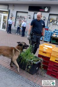 Diensthund „Basco“ avancierte im Laufe der Schwerpunktkontrollen zum größten Feind des Drogenhandels in der Nordstadt.