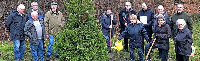 Die Gemeine Fichte ist Baum des Jahres 2017. Der Freundeskreis Fredenbaumpark e.V. liess ein Exemplar pflanzen. Fotos: Joachim vom Brocke