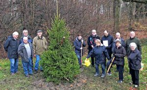 Die Gemeine Fichte ist Baum des Jahres 2017. Der Freundeskreis Fredenbaumpark e.V. liess ein Exemplar pflanzen. Fotos: Joachim vom Brocke