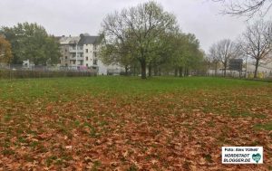 Am Sunderweg soll die Lessing-Grundschule neu gebaut werden. Foto: Alex Völkel