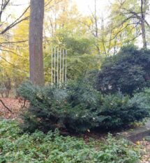 Impressionen Westpark Herbst 2017 (28)