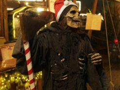 Fredenbaum Weihnachtsmarkt 2017_EM19345_dofoto_nsb (102)