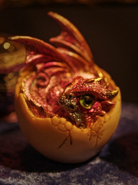 Fredenbaum Weihnachtsmarkt 2017_EM19345_dofoto_nsb (28)