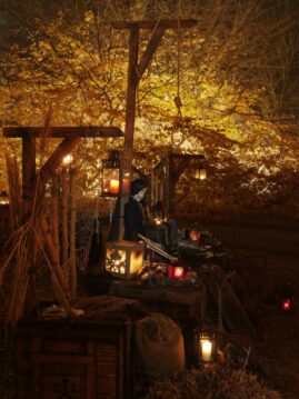 Fredenbaum Weihnachtsmarkt 2017_EM19345_dofoto_nsb (47)