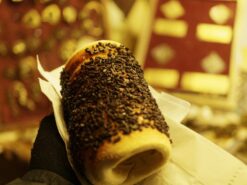 Fredenbaum Weihnachtsmarkt 2017_EM19345_dofoto_nsb (95)