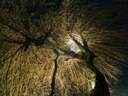 Fredenbaum Weihnachtsmarkt 2017_EM19345_dofoto_nsb (97)