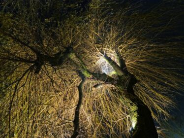 Fredenbaum Weihnachtsmarkt 2017_EM19345_dofoto_nsb (97)