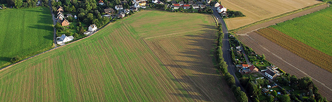 In Dortmund gibt es rund 6700 Hektar landwirtschaftlich genutzte Flächen - das entspricht knapp ein Viertel des Stadtgebiets. Foto: Alex Völkel