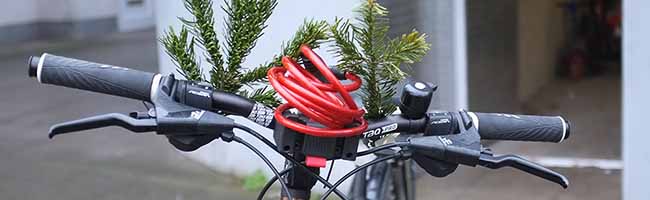 Das geklaute Fahrrad ist zurück bei der ursprünglichen Besitzerin. Foto: Susanne Schulte