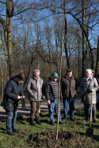 Pflanzung Koribiniansapfelbaum Fredenbaumpark