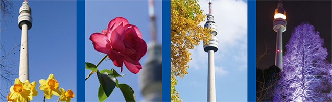 Zu allen Jahreszeiten gibt es im Westfalenpark Programm. Foto-Collage: Stadt Dortmund