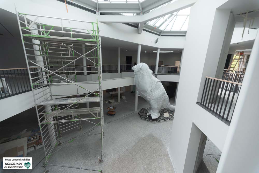 Noch mindestens ein weiteres Jahr wird das Naturkunde-Museum geschlossen bleiben. Fotos: Leopold Achilles