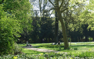 Damit der Park am Montag wieder so erstrahlt, hoffen die VeranstalterInnen auf rege Beteiligung am Reinemachen.