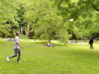 Westparkfest 2018 Roland Klecker dofoto (1)