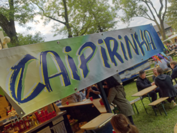 Westparkfest 2018 Roland Klecker dofoto (10)