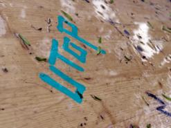 Westparkfest 2018 Roland Klecker dofoto (28)