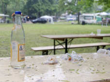 Westparkfest 2018 Roland Klecker dofoto (29)