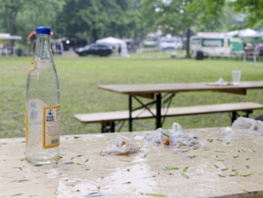 Westparkfest 2018 Roland Klecker dofoto (29)
