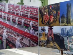 World Press Photo Ausstellung 2018 im Depot - Fotos - Lena Arsenovic - dofoto (4)