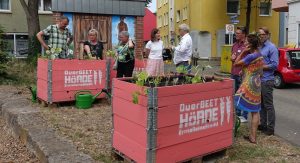 Hochbeete des "Querbeet Hörde" Projektes am Hörder Neumarkt. Fotos: Gerd Wüsthoff