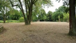 CDU Info-Tour Westfalenpark 01082018 (10)