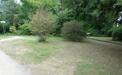 CDU Info-Tour Westfalenpark 01082018 (12)