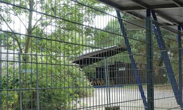 CDU Info-Tour Westfalenpark 01082018 (18)